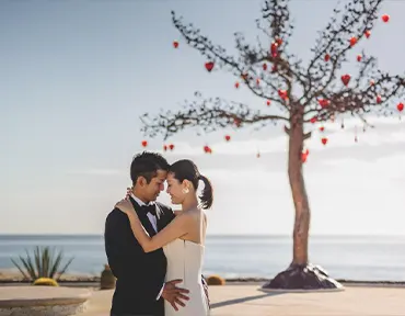 Voyage de noces au Japon